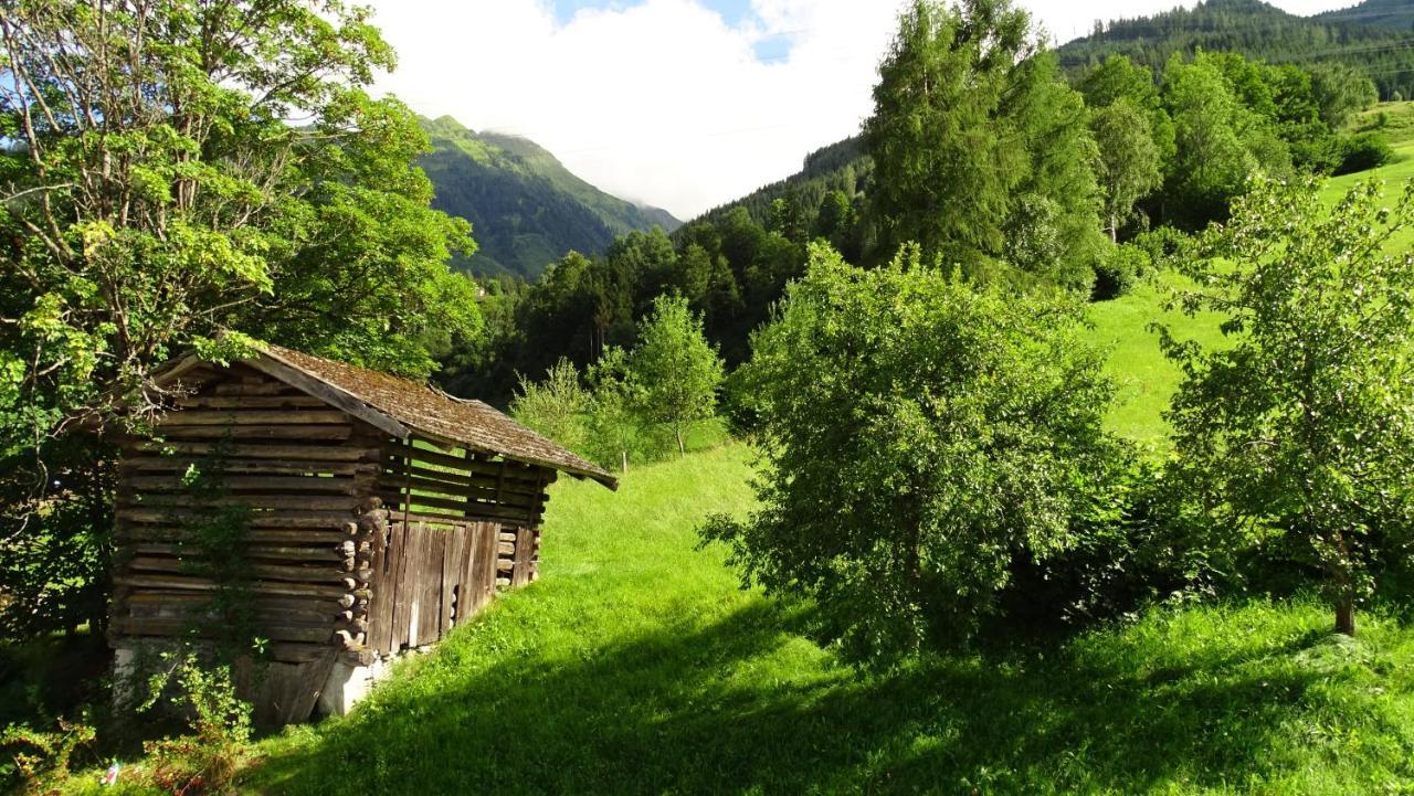 AlpinResort DerBacherhof Niedernsill Exterior foto